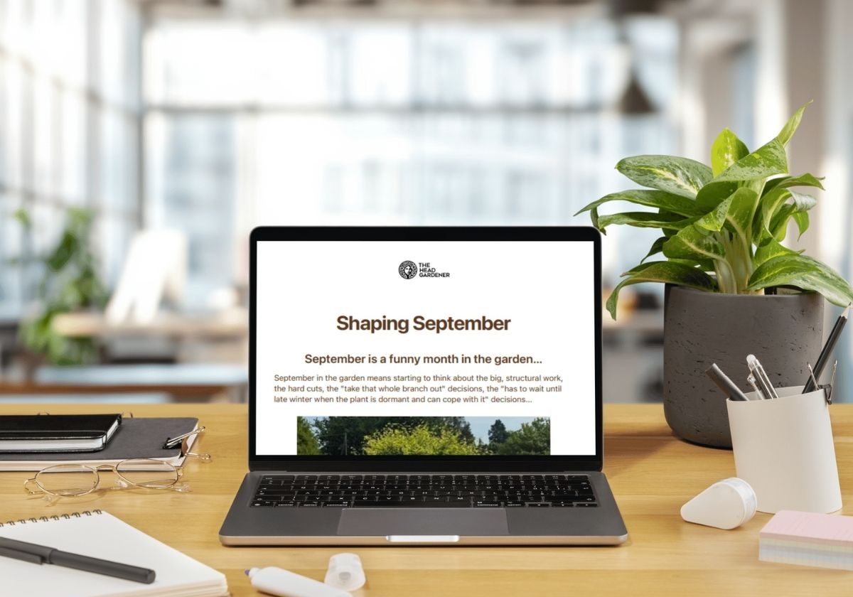 HeadGardenerNewsletter-sept26
